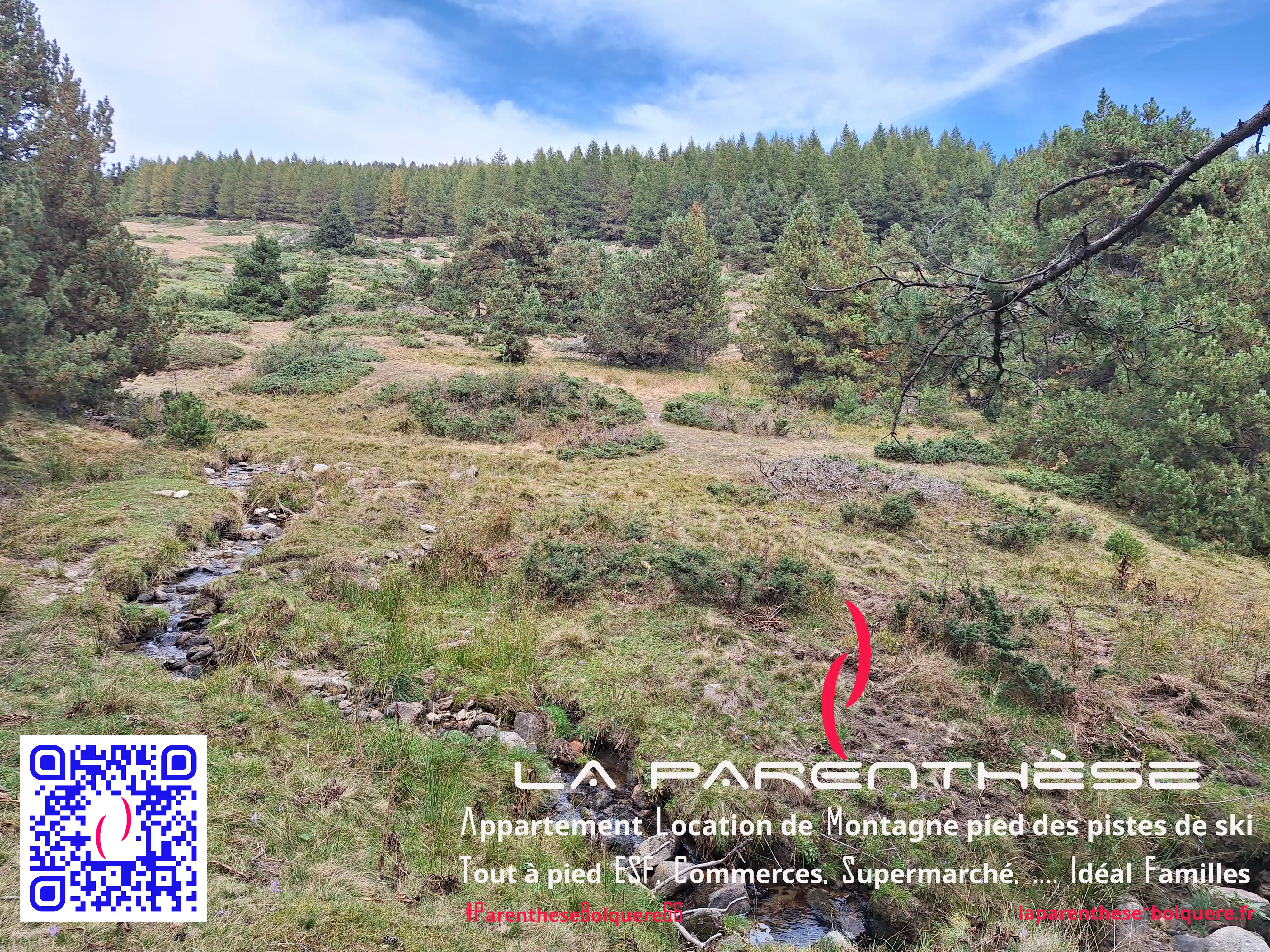 Randonnée dans la forêt de Font-Romeu
